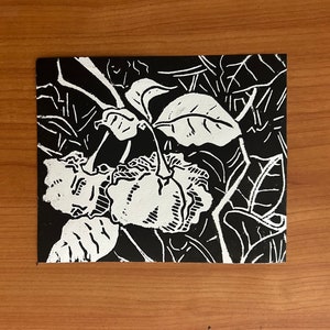 Sweet Peppers Linocut Print