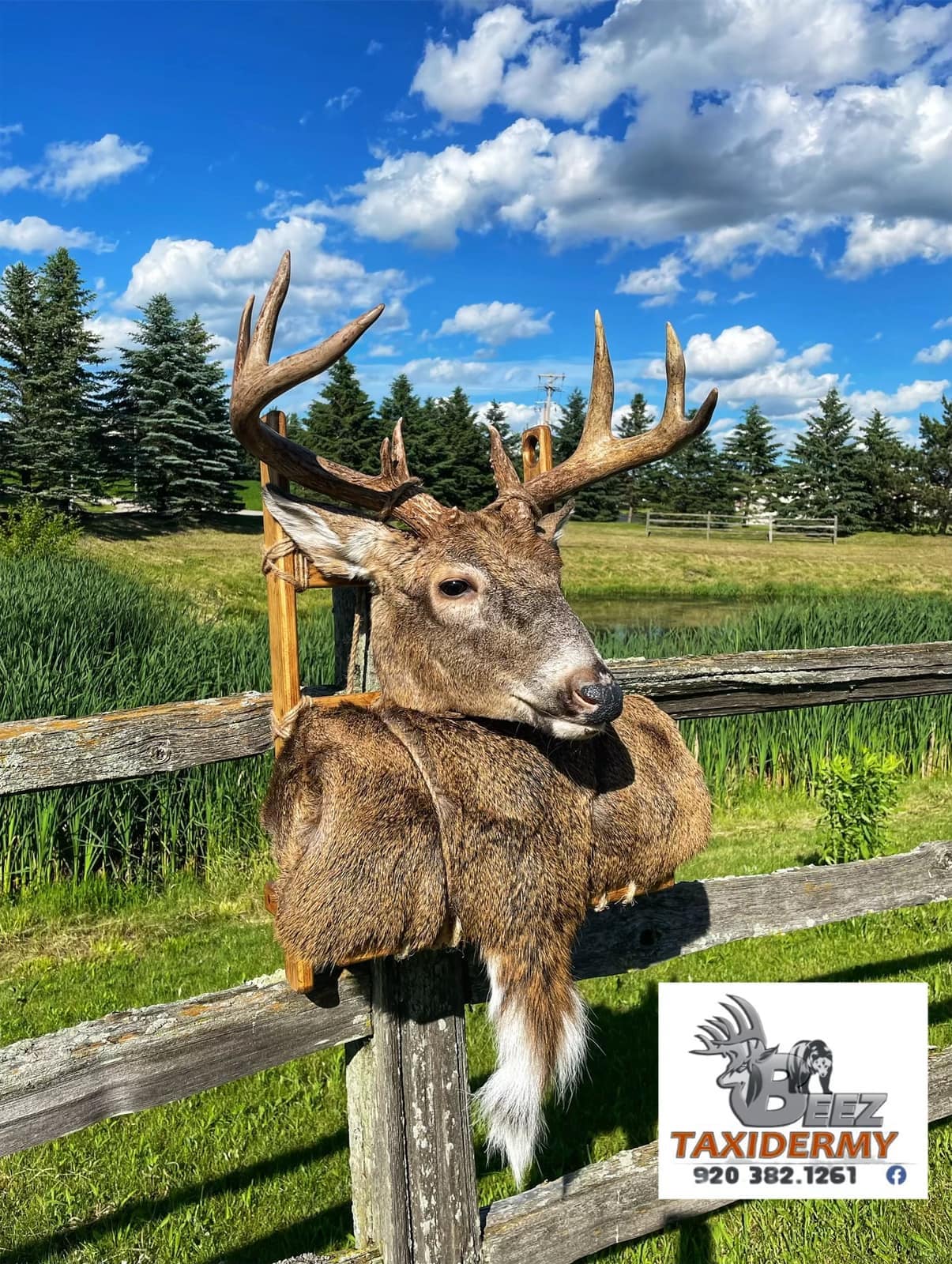 Taxidermy Back Pack Mount Frame, Pack Mount Frame , Backpack Mount