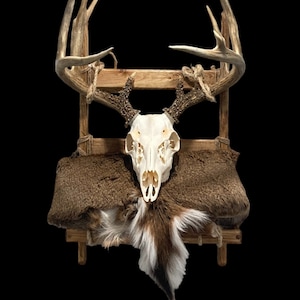 Pack Mount Frame, Handmade Taxidermy Backpack Mount Frame, Deer Mount ...
