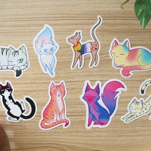 Set of eight cat stickers on a wooden table, each representing a queer identity including lesbian, gay, bisexual, pansexual, transgender, nonbinary, aromantic, and asexual.