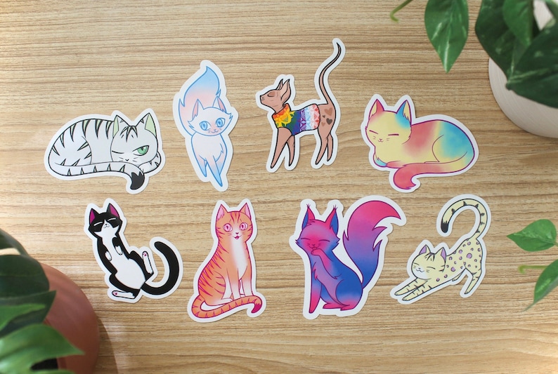 Set of eight cat stickers on a wooden table, each representing a queer identity including lesbian, gay, bisexual, pansexual, transgender, nonbinary, aromantic, and asexual.