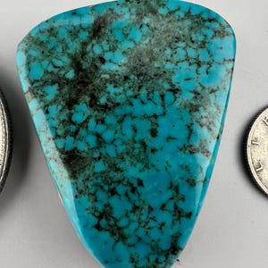 May include: A turquoise cabochon with a blue-green color and a black matrix. The stone is irregularly shaped and has a smooth, polished surface.