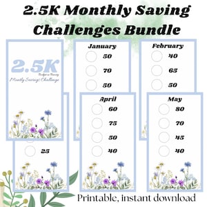 2.5K Savings Challenge for Cash Stuffing|A6 Printable Challenge