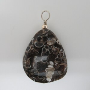 Turritella Agate and Sterling Pendant