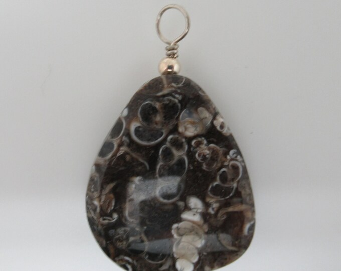 Turritella Agate and Sterling Pendant