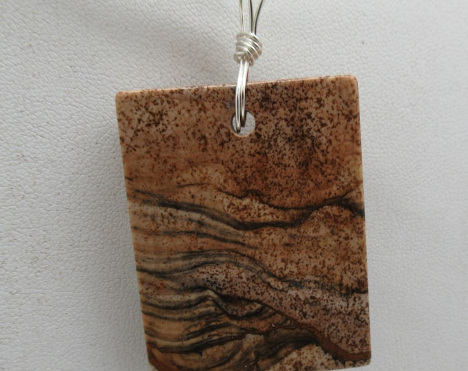 Picture Jasper and Sterling Pendant