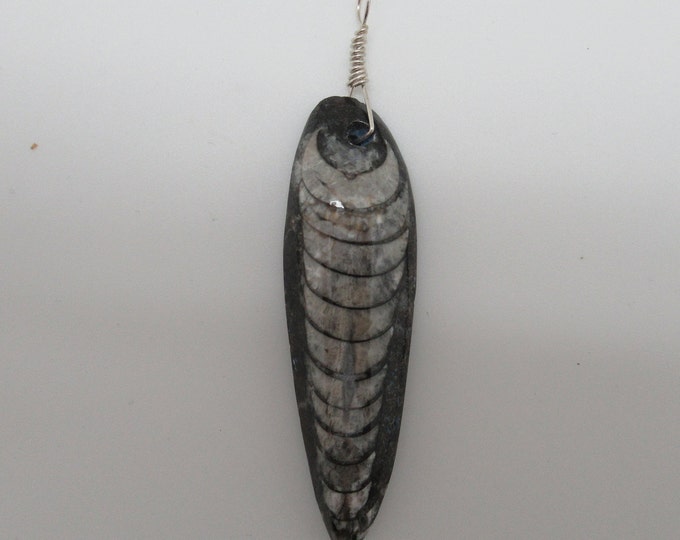 Orthoceras Fossil Pendant sterling silver  natural fossil