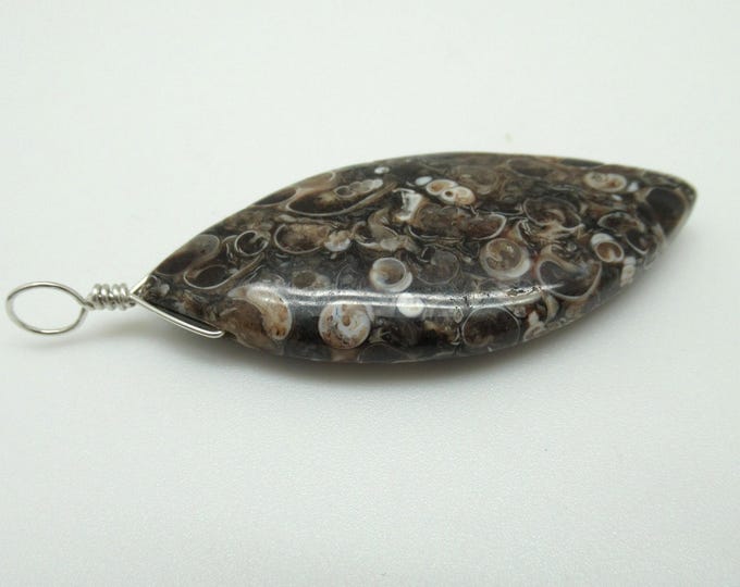 Turritella Agate and Sterling Pendant
