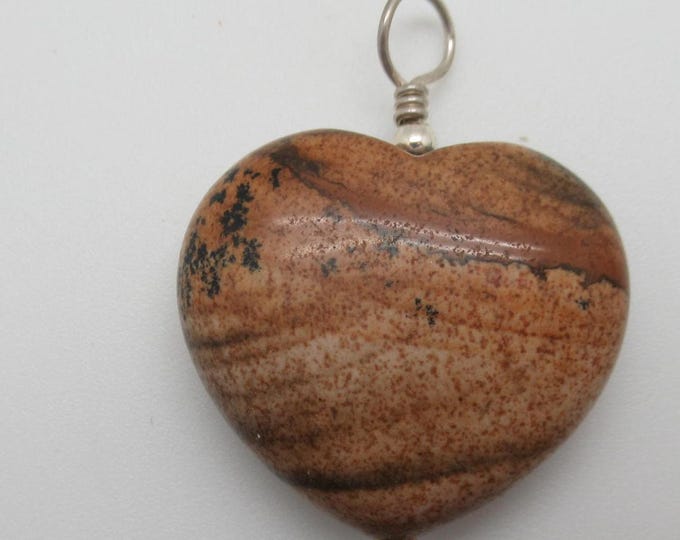 Picture Jasper and Sterling Pendant