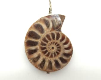 Ammonite and Sterling Pendant