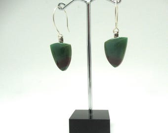 Opalized Wood Earrings