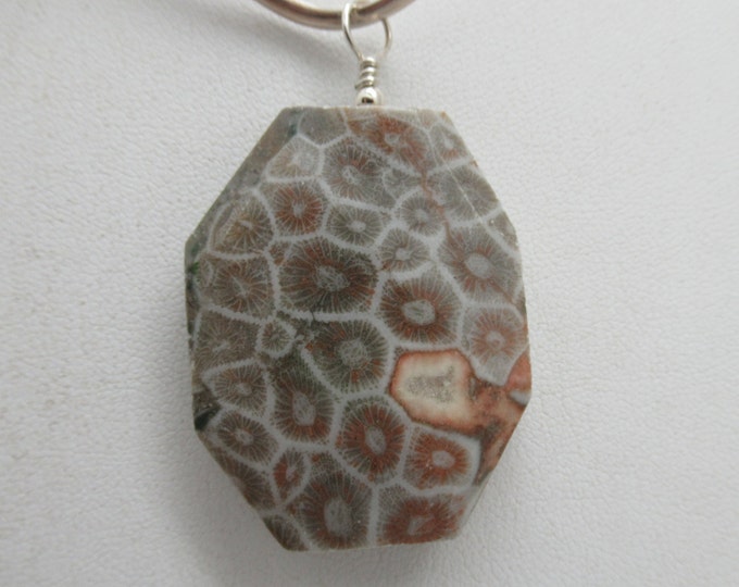 Fossilized Coral and Sterling Pendant