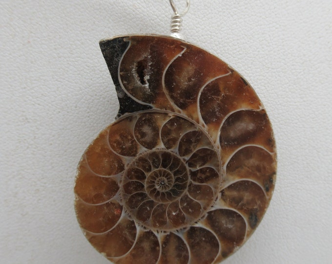 Ammonite and Sterling Pendant