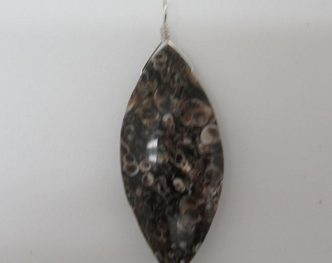 Turritella Agate and Sterling Pendant