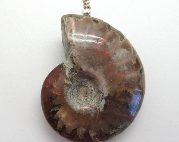 Ammonite and Sterling Pendant