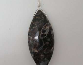 Turritella Agate and Sterling Pendant