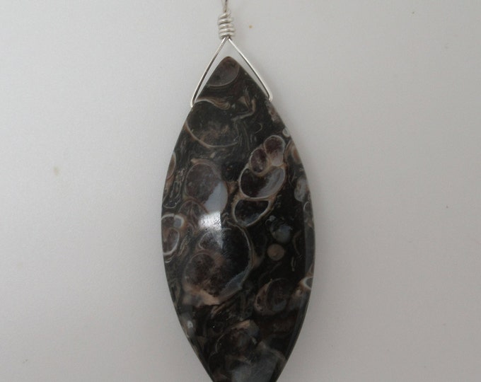 Turritella Agate and Sterling Pendant