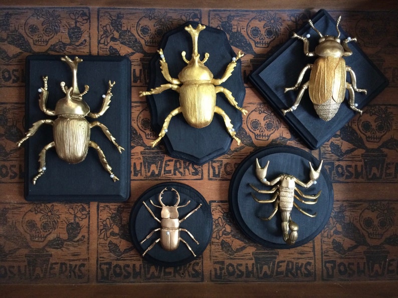 Insect Taxidermy mount