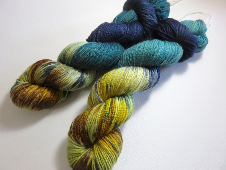 Now Available to Anyone Schrodinger/'s Bobcat Hand DyedPainted Yarn in Choice of Bases Blind Philosopher-2
