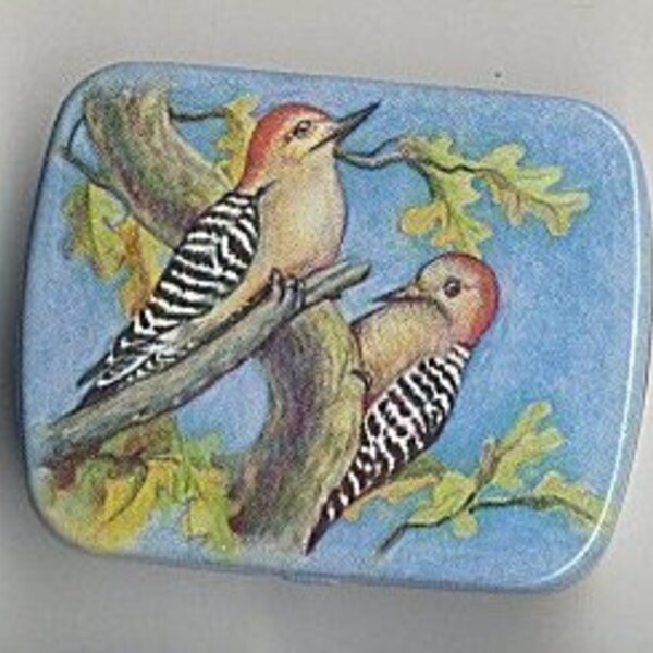 SALE vintage tin trinket or pill box - birds