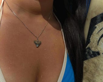 Shark Tooth Necklace