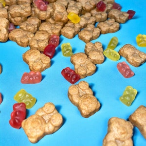 May include: A variety of brown bear-shaped cookies with different colored gummy candies scattered around them on a blue background.