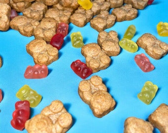 Homemade Teddy Graham dog treats, mini bear treats, crunchy dog cookies, natural homemade dog treats, puppy treats