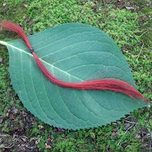 Kitsune Red Henna Hair Dye Natural Organic Color 100g Zero Waste Nightblooming Beauty image 4