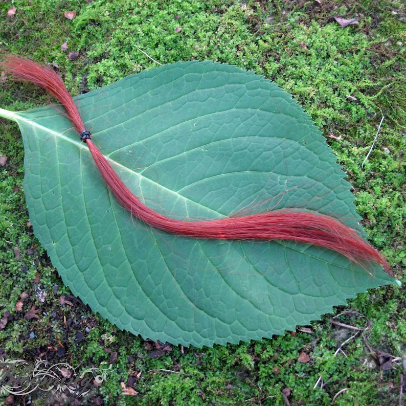 Kitsune Red Henna Hair Dye Natural Organic Color 100g Zero Waste Nightblooming Beauty image 4