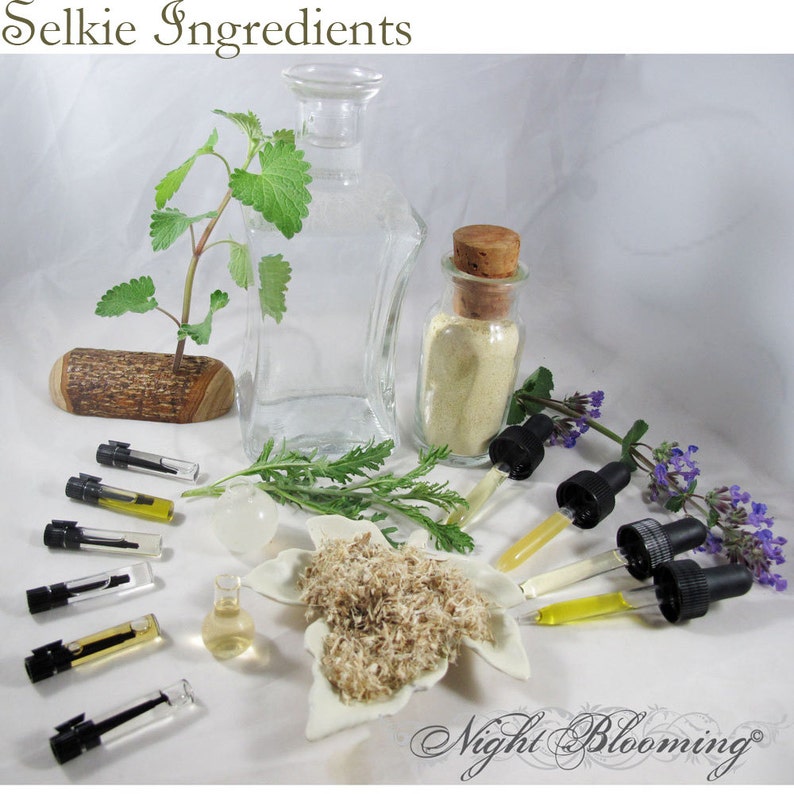 May include: A collection of ingredients for a selkie potion, including a clear glass bottle, a jar of white powder, several small glass vials with droppers, and dried herbs. The ingredients are arranged on a white surface with a wooden log and a sprig of green leaves.