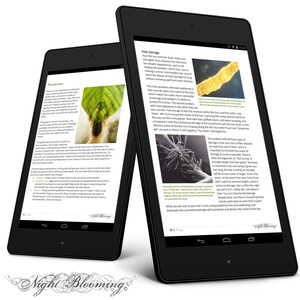 May include: A close-up microscopic image of a hair strand, showing the damage caused by heat styling tools. The text on the page reads "Heat Damage" and explains how heat styling tools can damage the hair's cuticle and cortex.