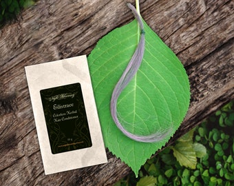 Eilistraee Gray, White, Colorless Herbal Hair Conditioner 10g Sample