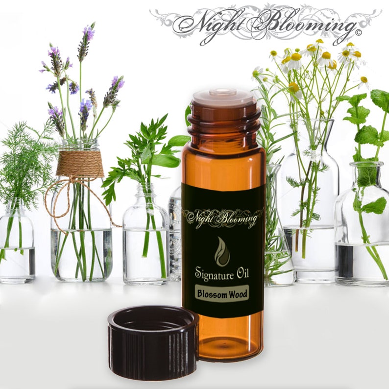 Signature Essential Oil Blends for Diffusers 1 Dram image 2