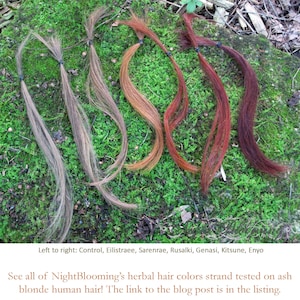 May include: Seven strands of hair in different shades of brown, red, and blonde, tied with black string, laid out on a bed of green moss.  Left to right: Control, Eilistraee, Sarenrae, Rusalki, Genasi, Kitsune, Enyo. See all of NightBlooming's herbal hair colors strand tested on ash blonde human hair! The link to the blog post is in the listing.