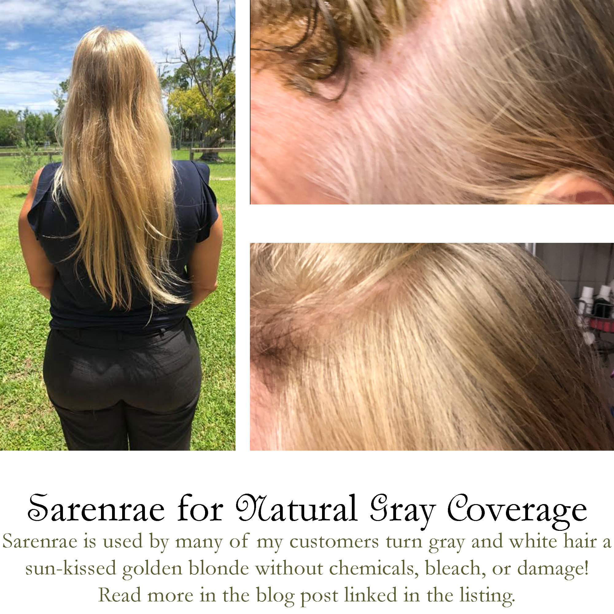 Sarenrae Blonde Hair Dye and Natural Color Without Henna 100g - Etsy Australia Sarenrae Blonde Hair Dye and Natural Color Without Henna 100g - Etsy Australia
