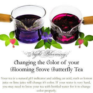 Blooming Grove Caduceus & Mollymauk Butterfly Herbal Tea 170g Critical Role image 2