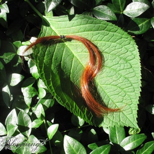May include: A strand of auburn hair is lying on a large green leaf. The hair is tied with a black elastic band.