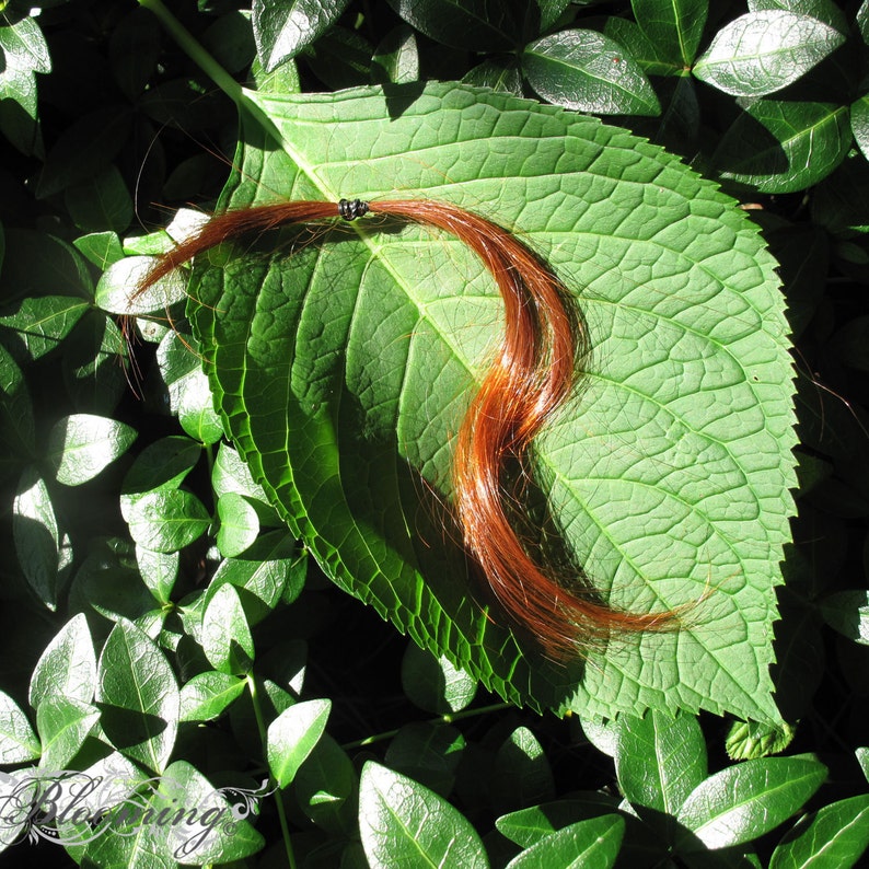May include: A strand of auburn hair is lying on a large green leaf. The hair is tied with a black elastic band.