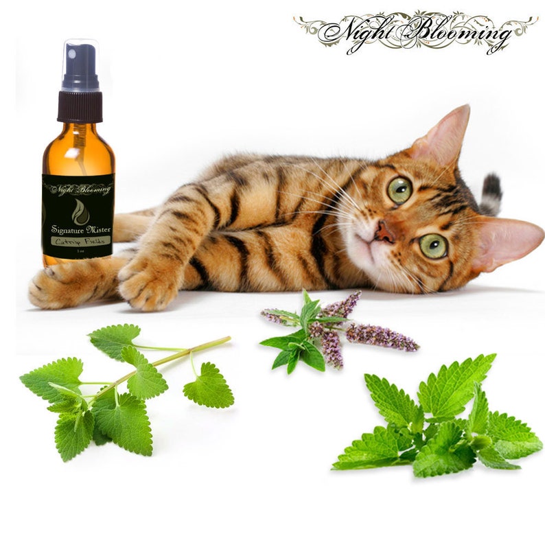 Organic Catnip Spray Natural Catnip Toy Purrfect Gift for Cat Etsy