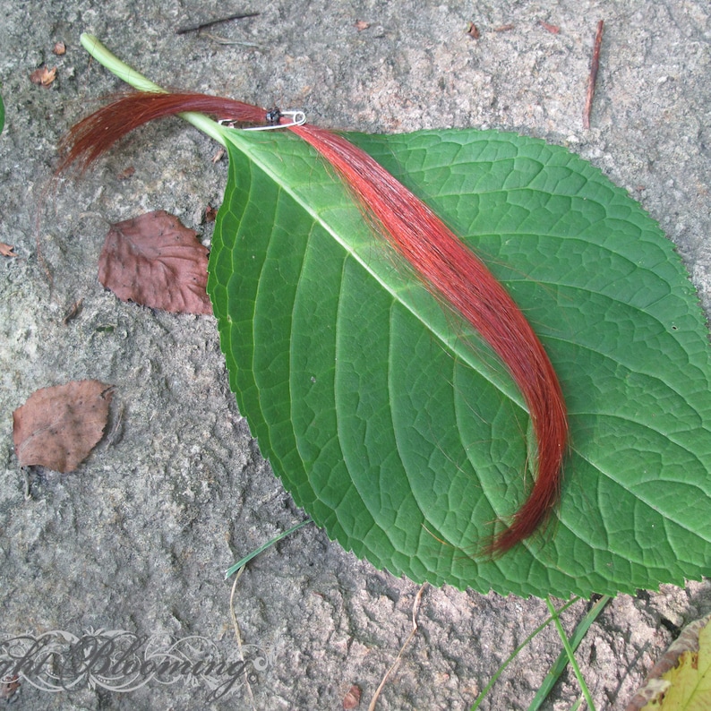 May include: A single strand of red hair is pinned to a green leaf with a small black pin. The leaf is lying on a gray, textured surface.