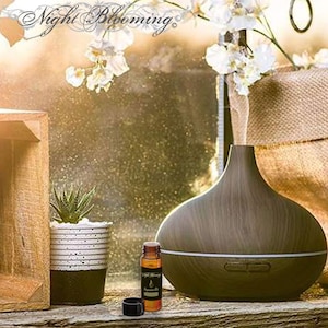 May include: A brown wooden essential oil diffuser with a white light ring, a small amber glass bottle of essential oil, and a white cap. The diffuser is sitting on a wooden surface with a potted succulent plant and a wooden box in the background.