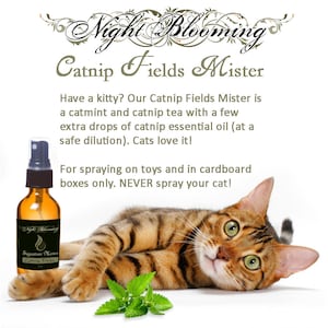 May include: A brown glass bottle with a spray nozzle, labeled "Night Blooming Signature Mister Catnip Fields". The bottle is next to a brown tabby cat lying on a white surface with green catnip leaves.
