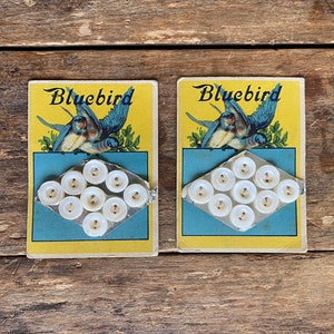 Bluebird Parelmoeren Knoopkaarten