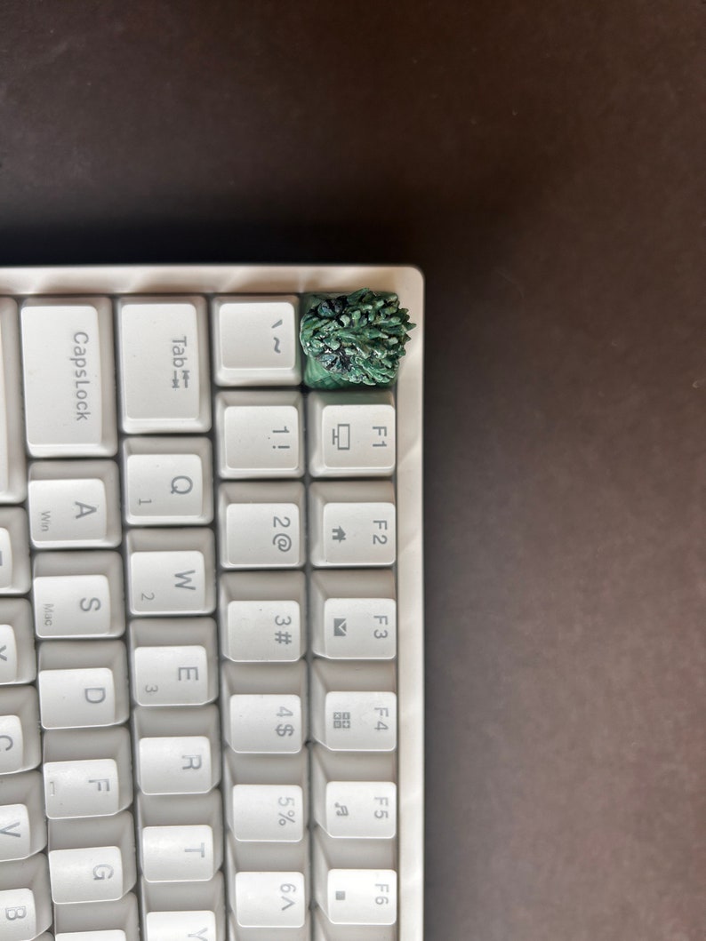 Spiny Bush Viper Snake Dragon Keycap - Etsy