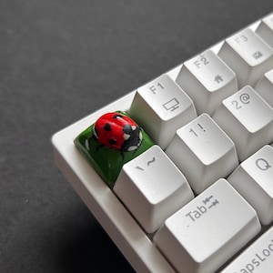 May include: A white mechanical keyboard with a custom keycap featuring a red and black ladybug on a patch of green grass. The keyboard has white keycaps with black lettering and symbols.