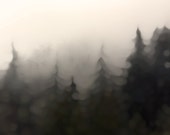 Assuage : Photographic Print, of rustic mountainous forest east of Seattle WA, softly blurred for a warm, smokey, romantic and dreamy feel.