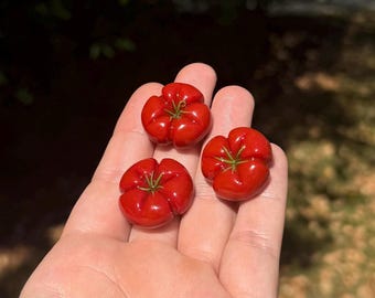 Aimant tomate, aimant de cuisine fait main