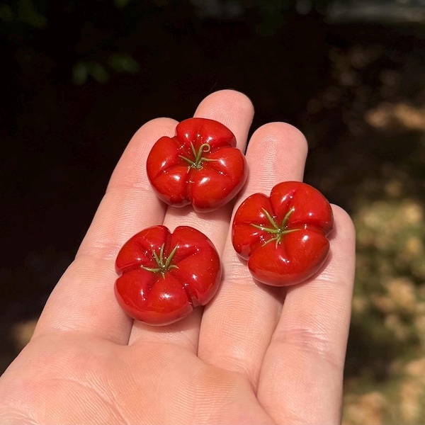 トマトマグネット、手作り食品キッチンマグネット