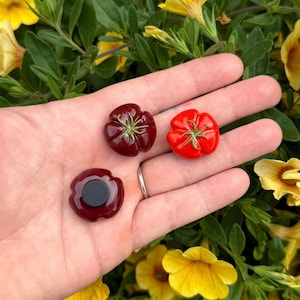 Imán de tomate, arcilla polimérica hecha a mano, lindos imanes de verduras para el refrigerador, tomates reliquia, imán para lavavajillas, divertido imán con foto, arte de frutas