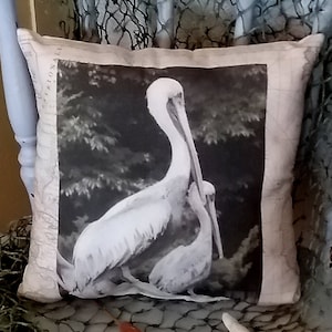 Pelican Photo Pillow With Vintage Nautical Map Background, Coastal Beach House Decor, Beach Pillow